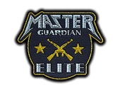 Patch | Metal Master Guardian Elite image