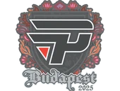 Sticker | paiN Gaming | Budapest 2025 image