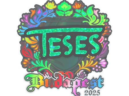 Sticker | TeSeS (Holo) | Budapest 2025 image