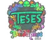 Sticker | TeSeS (Holo) | Budapest 2025 image