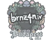 Sticker | brnz4n | Budapest 2025 image