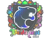 Sticker | FURIA (Holo) | Budapest 2025 image