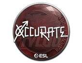 Sticker | xccurate | Katowice 2019 image