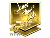 Sticker | hazed (Gold) | Cluj-Napoca 2015 image