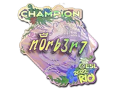 Sticker | n0rb3r7 (Holo, Champion) | Rio 2022 image