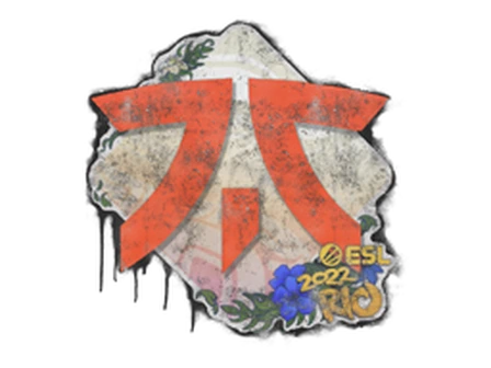 Sealed Graffiti | Fnatic | Rio 2022 image