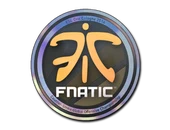 Sticker | Fnatic (Holo) | Cologne 2014 image