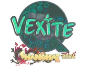 Sticker | vexite (Holo) | Shanghai 2024 image