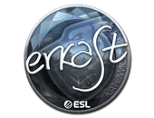 Sticker | erkaSt (Foil) | Katowice 2019 image