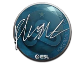 Sticker | flusha | Katowice 2019 image