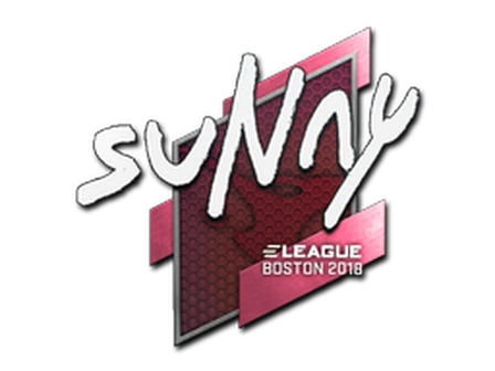 Sticker | suNny | Boston 2018 image
