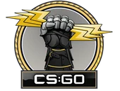 The Glove Collection image