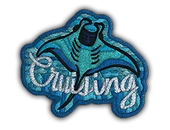 Patch | Cruising Ray image