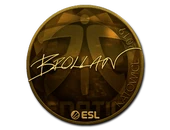 Sticker | Brollan (Gold) | Katowice 2019 image