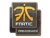 Sticker | Fnatic | DreamHack 2014 image