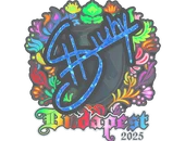 Sticker | siuhy (Holo) | Budapest 2025 image
