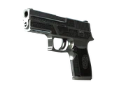 P250 | Cartel image
