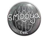 Sticker | smooya | Katowice 2019 image