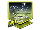 Sticker | seized (Foil) | Cluj-Napoca 2015 image