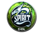 Sticker | Team Spirit (Foil) | Katowice 2019 image