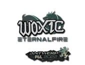 Sticker | woxic | Antwerp 2022 image