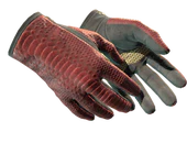 ★ Driver Gloves | Dragon Fists image