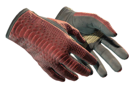 ★ Driver Gloves | Dragon Fists image