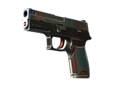 P250 | Cyber Shell image
