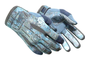 ★ Sport Gloves | Frosty image