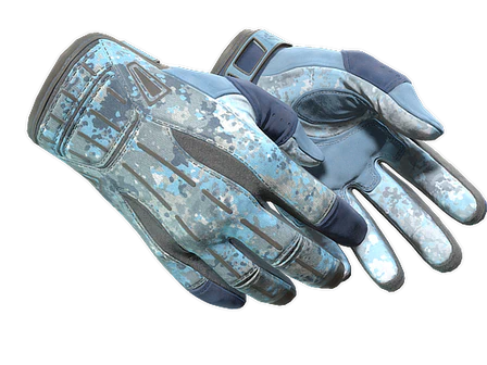 ★ Sport Gloves | Frosty image