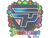 Sticker | paiN Gaming (Holo) | Budapest 2025 image