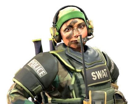 Lieutenant 'Tree Hugger' Farlow | SWAT image