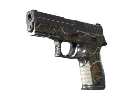 P250 | Small Game image