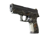 P250 | Small Game image