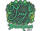 Sticker | TRY | Budapest 2025 image