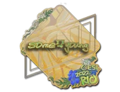 Sticker | sdy (Holo) | Rio 2022 image