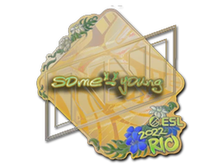 Sticker | sdy (Holo) | Rio 2022 image