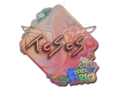Sticker | TeSeS (Holo) | Rio 2022 image
