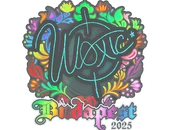 Sticker | woxic (Holo) | Budapest 2025 image