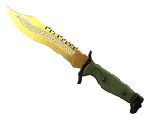 ★ Bowie Knife | Lore image