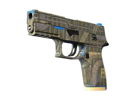 P250 | Exchanger image