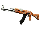 AK-47 | Safety Net image