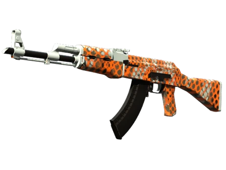 AK-47 | Safety Net image