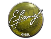 Sticker | flamie | Katowice 2019 image