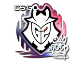 Sticker | G2 (Foil) | 2020 RMR image