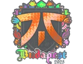 Sticker | fnatic (Holo) | Budapest 2025 image