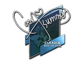Sticker | Summer | Boston 2018 image