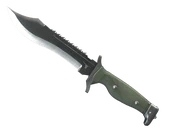 ★ Bowie Knife image