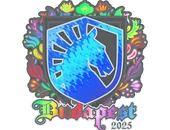Sticker | Team Liquid (Holo) | Budapest 2025 image