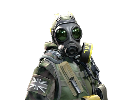 B Squadron Officer | SAS image